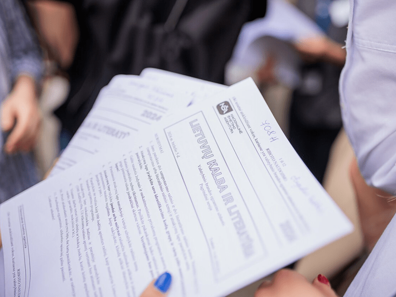 Vaizdo pamokų komplektas 11-12 kl. mokiniams: nuo programinių autorių iki egzamino